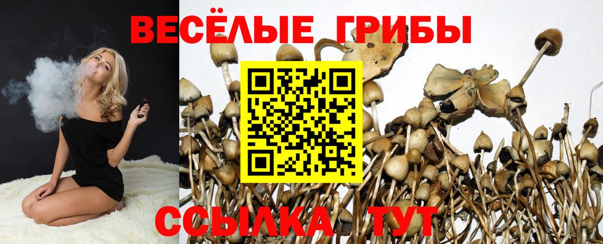 Добрянка  Галлюциногенные грибы MAGIC MUSHROOMS  Вход с VPN  Псилоцибиновые грибы GOLDEN TEACHER 